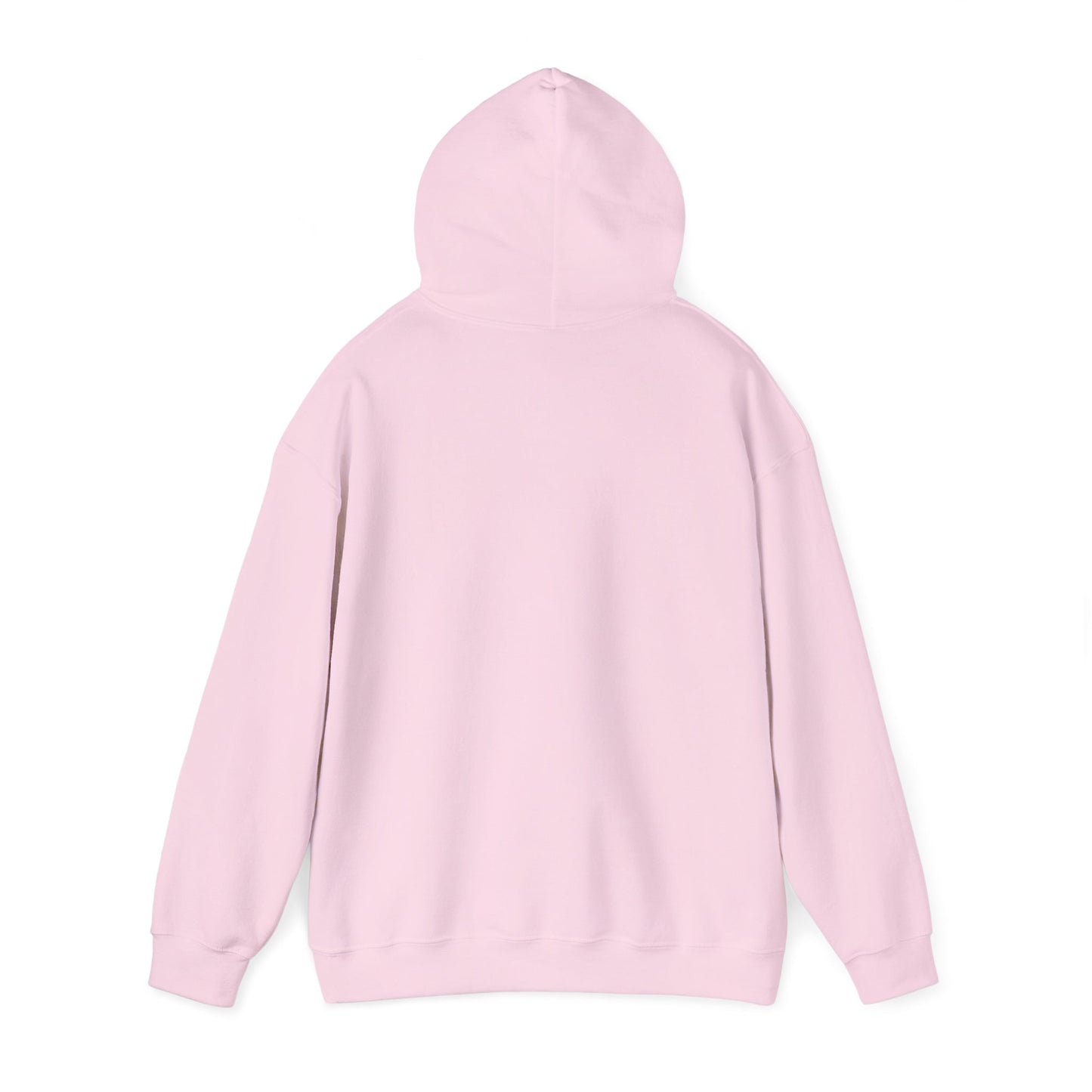 The Law Is the Law — Graphic Hoodie