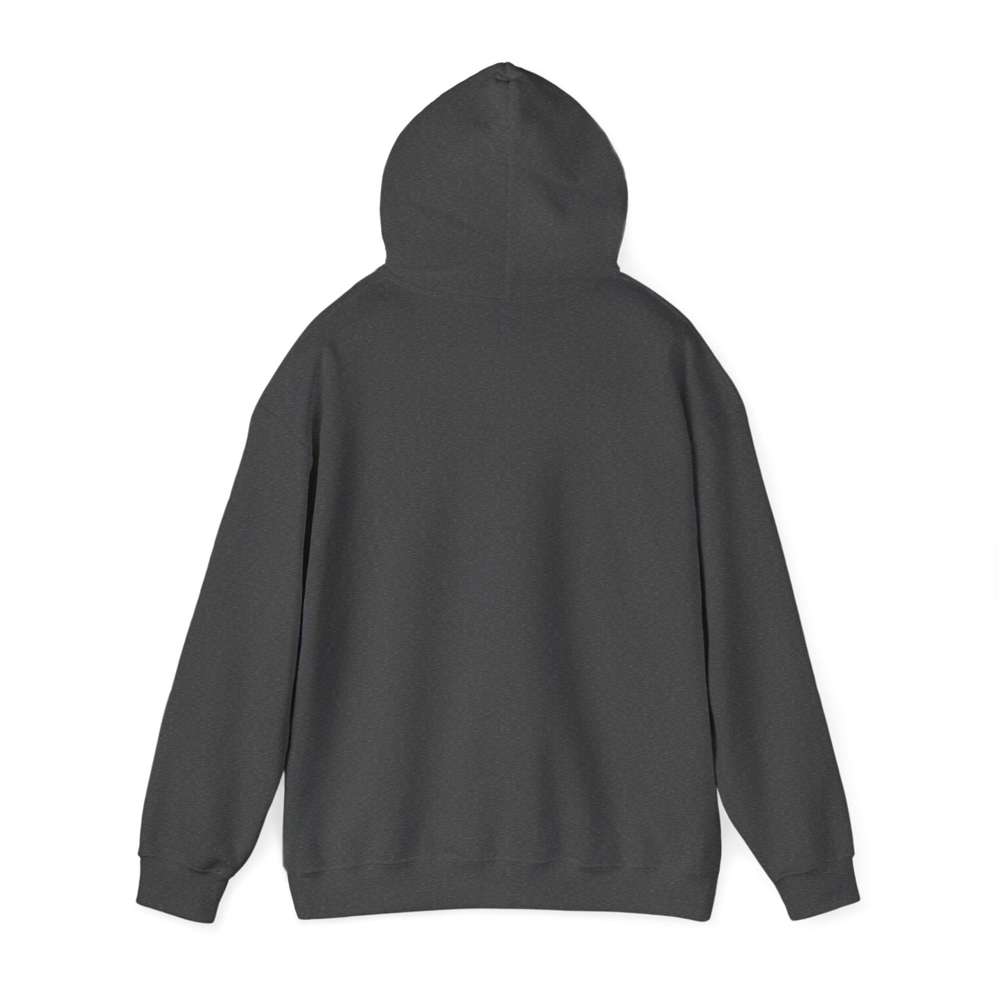 The Law Is the Law — Graphic Hoodie