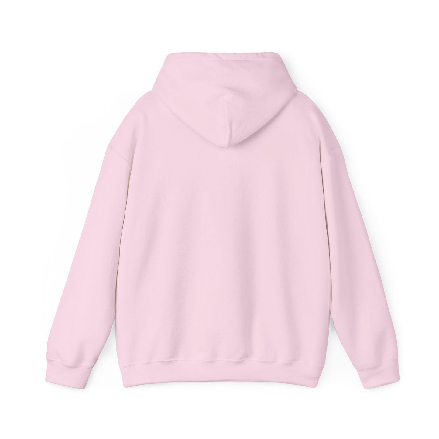 The Law Is the Law — Graphic Hoodie