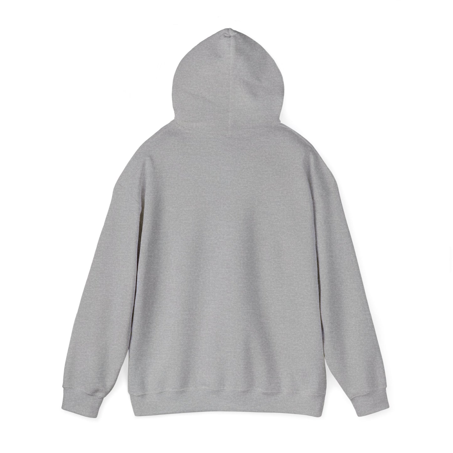 The Law Is the Law — Graphic Hoodie